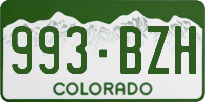 CO license plate 993BZH