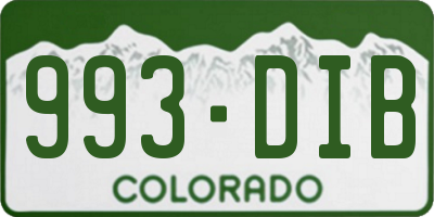 CO license plate 993DIB