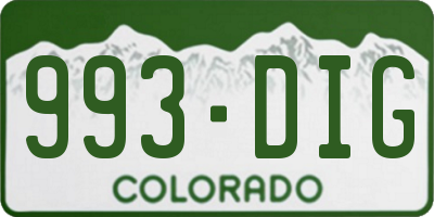 CO license plate 993DIG