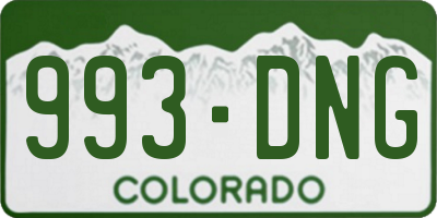 CO license plate 993DNG