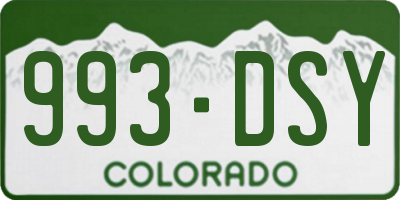 CO license plate 993DSY