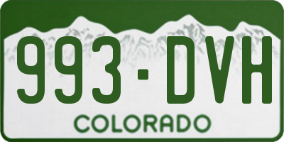 CO license plate 993DVH