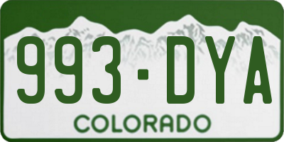 CO license plate 993DYA