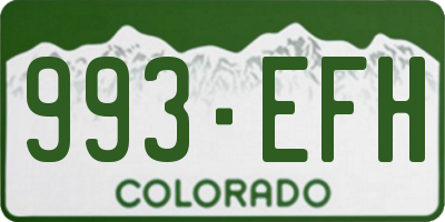 CO license plate 993EFH