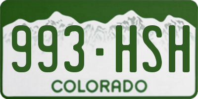 CO license plate 993HSH