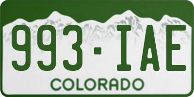 CO license plate 993IAE