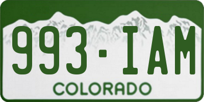 CO license plate 993IAM