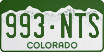 CO license plate 993NTS