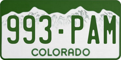 CO license plate 993PAM