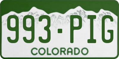 CO license plate 993PIG