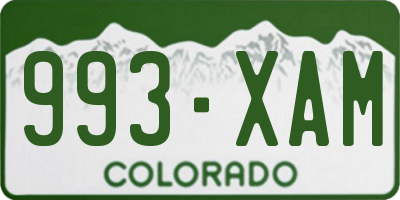 CO license plate 993XAM