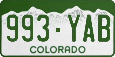 CO license plate 993YAB