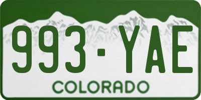 CO license plate 993YAE