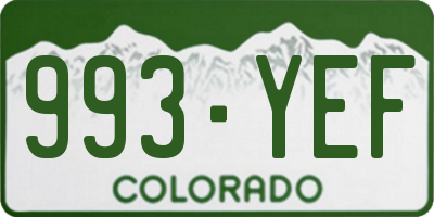 CO license plate 993YEF