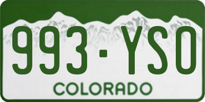 CO license plate 993YSO