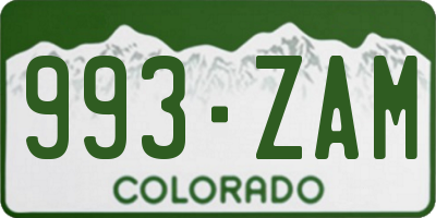 CO license plate 993ZAM
