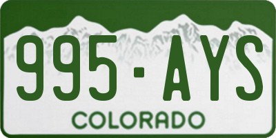 CO license plate 995AYS