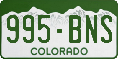 CO license plate 995BNS