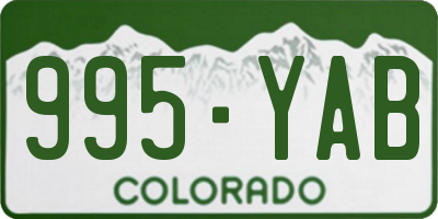 CO license plate 995YAB