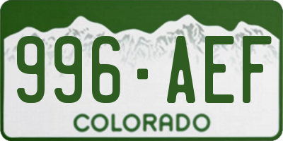 CO license plate 996AEF