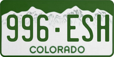 CO license plate 996ESH