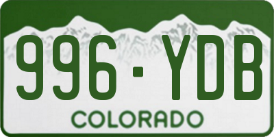 CO license plate 996YDB