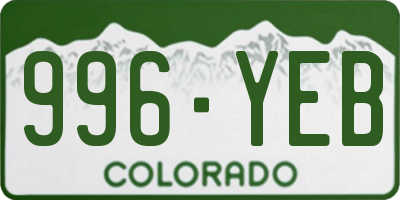 CO license plate 996YEB