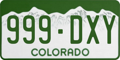 CO license plate 999DXY