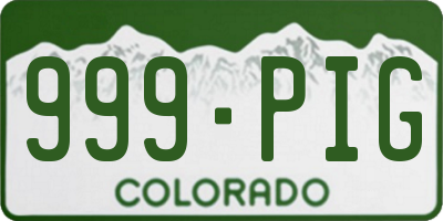 CO license plate 999PIG