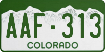 CO license plate AAF313