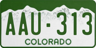 CO license plate AAU313