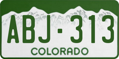 CO license plate ABJ313