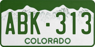 CO license plate ABK313