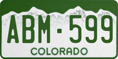 CO license plate ABM599