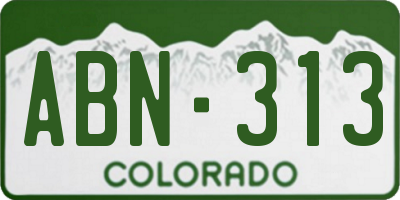 CO license plate ABN313