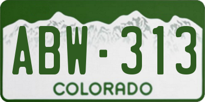 CO license plate ABW313