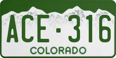 CO license plate ACE316