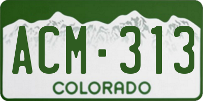 CO license plate ACM313