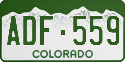 CO license plate ADF559
