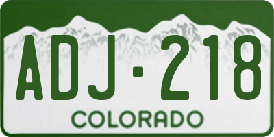 CO license plate ADJ218