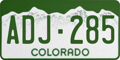 CO license plate ADJ285