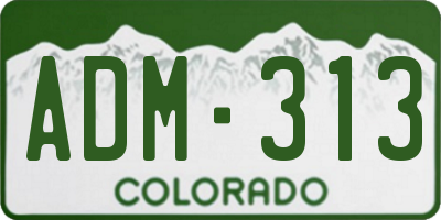 CO license plate ADM313
