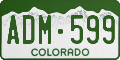 CO license plate ADM599