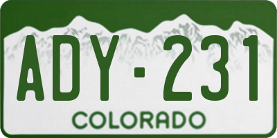 CO license plate ADY231