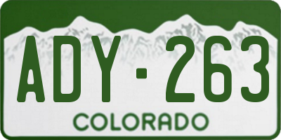 CO license plate ADY263