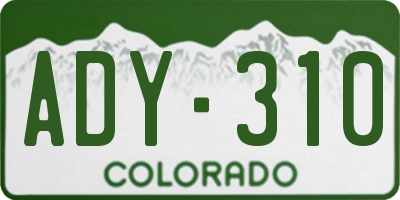 CO license plate ADY310