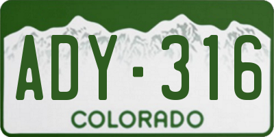 CO license plate ADY316