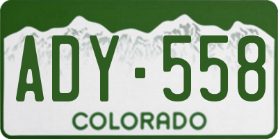 CO license plate ADY558