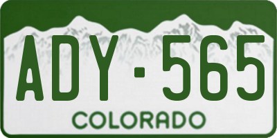 CO license plate ADY565