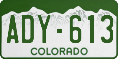 CO license plate ADY613